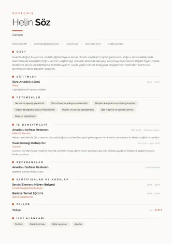  cv indir